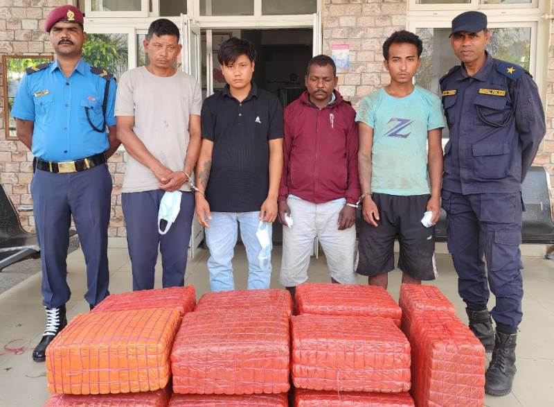 १ सय ५० केजी गाँजा सहित चार जना पक्राउ