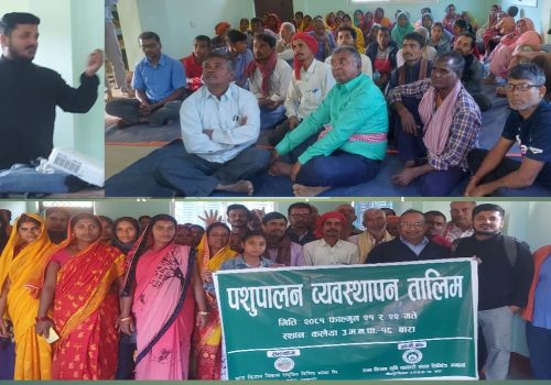 पशुपालक साना किसानलाई दुईदिने पशुपालन ब्यवस्थापन तालिम
