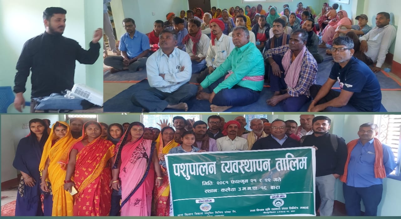 पशुपालक साना किसानलाई दुईदिने पशुपालन ब्यवस्थापन तालिम
