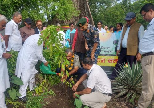 पिलुवा स्थीत पिस पार्कमा विश्व वातावरण दिवस मनाईयो