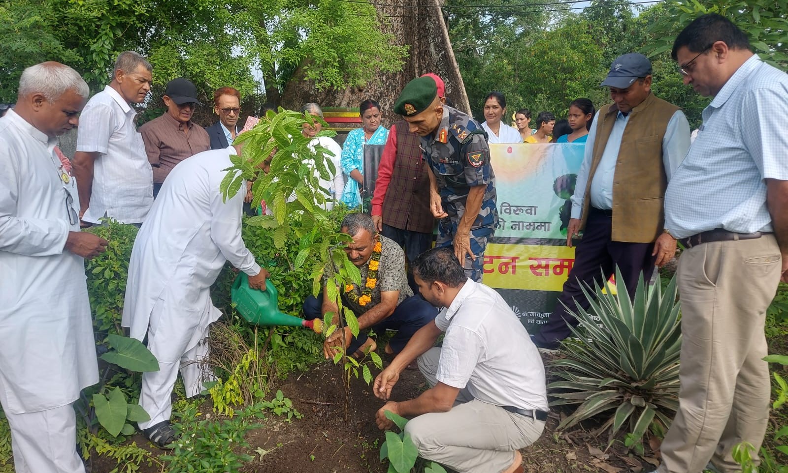 पिलुवा स्थीत पिस पार्कमा विश्व वातावरण दिवस मनाईयो