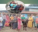 अपाङ्गता भएका सदस्य परिवारलाई पाडी वितरण