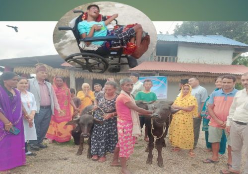 अपाङ्गता भएका सदस्य परिवारलाई पाडी वितरण
