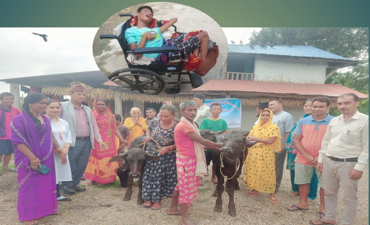 अपाङ्गता भएका सदस्य परिवारलाई पाडी वितरण