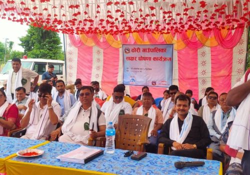 ठोरी पर्सा जिल्ला कै पहिलो साक्षर स्थानीय तह घोषित